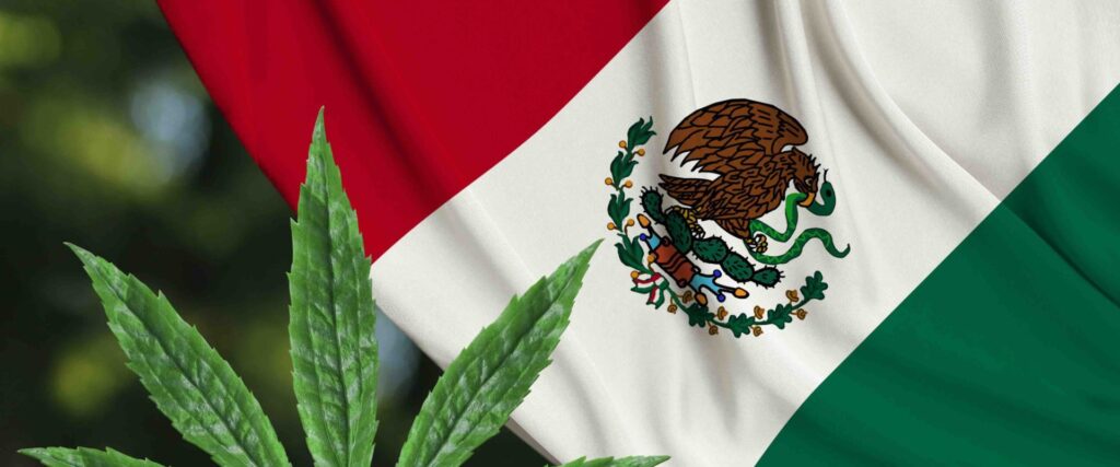 what drugs are legal in Mexico